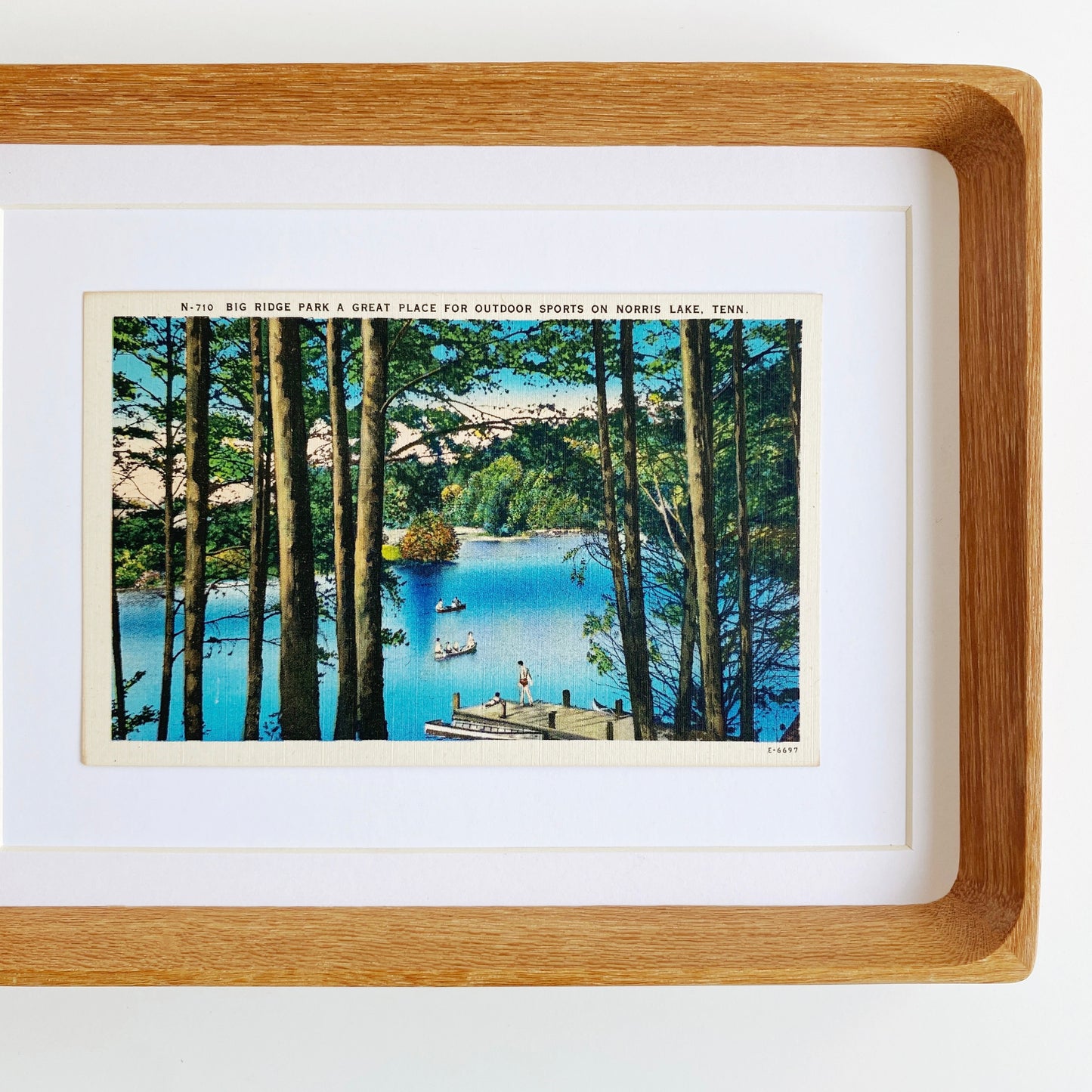 framed norris lake cove vintage postcard