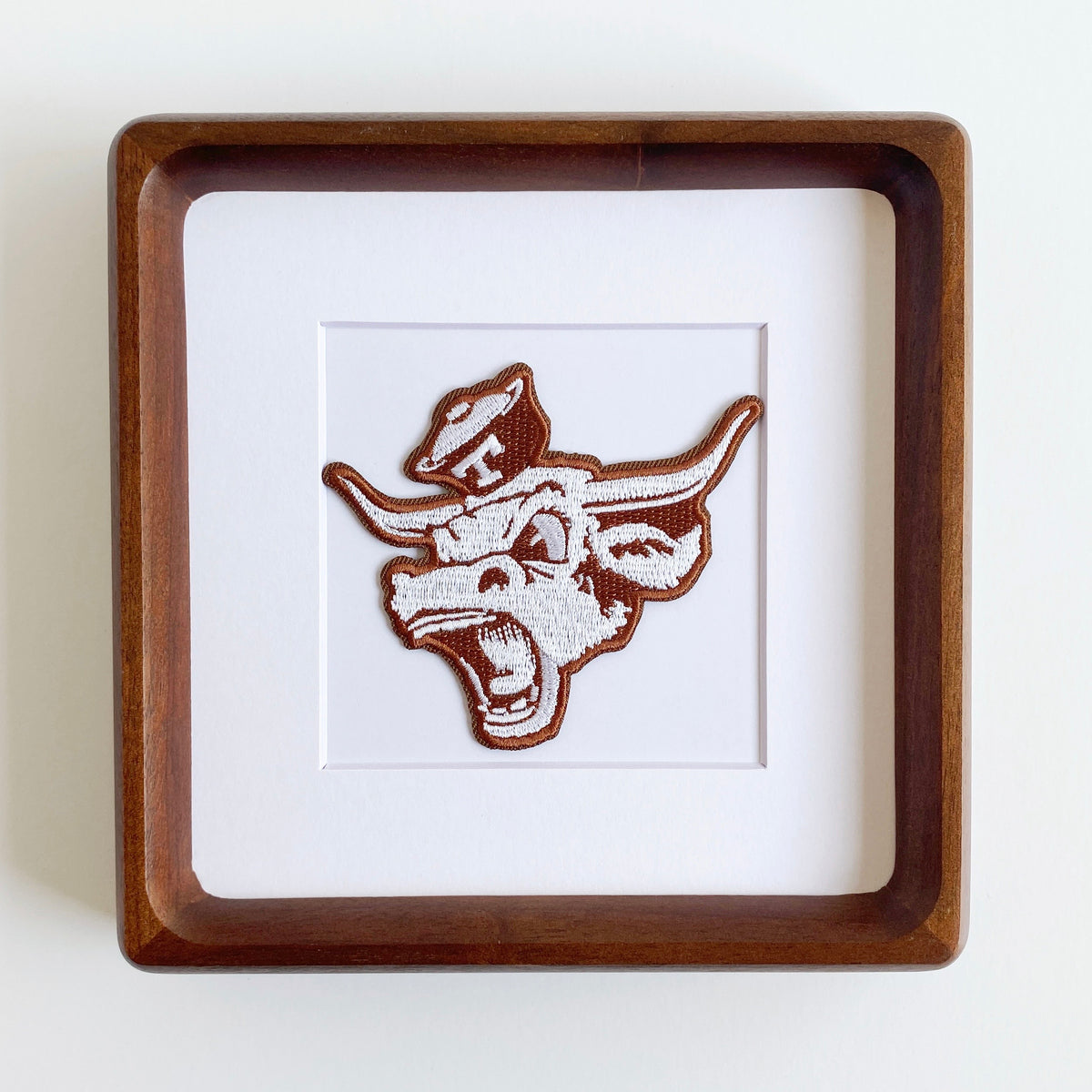 framed university of texas longhorns