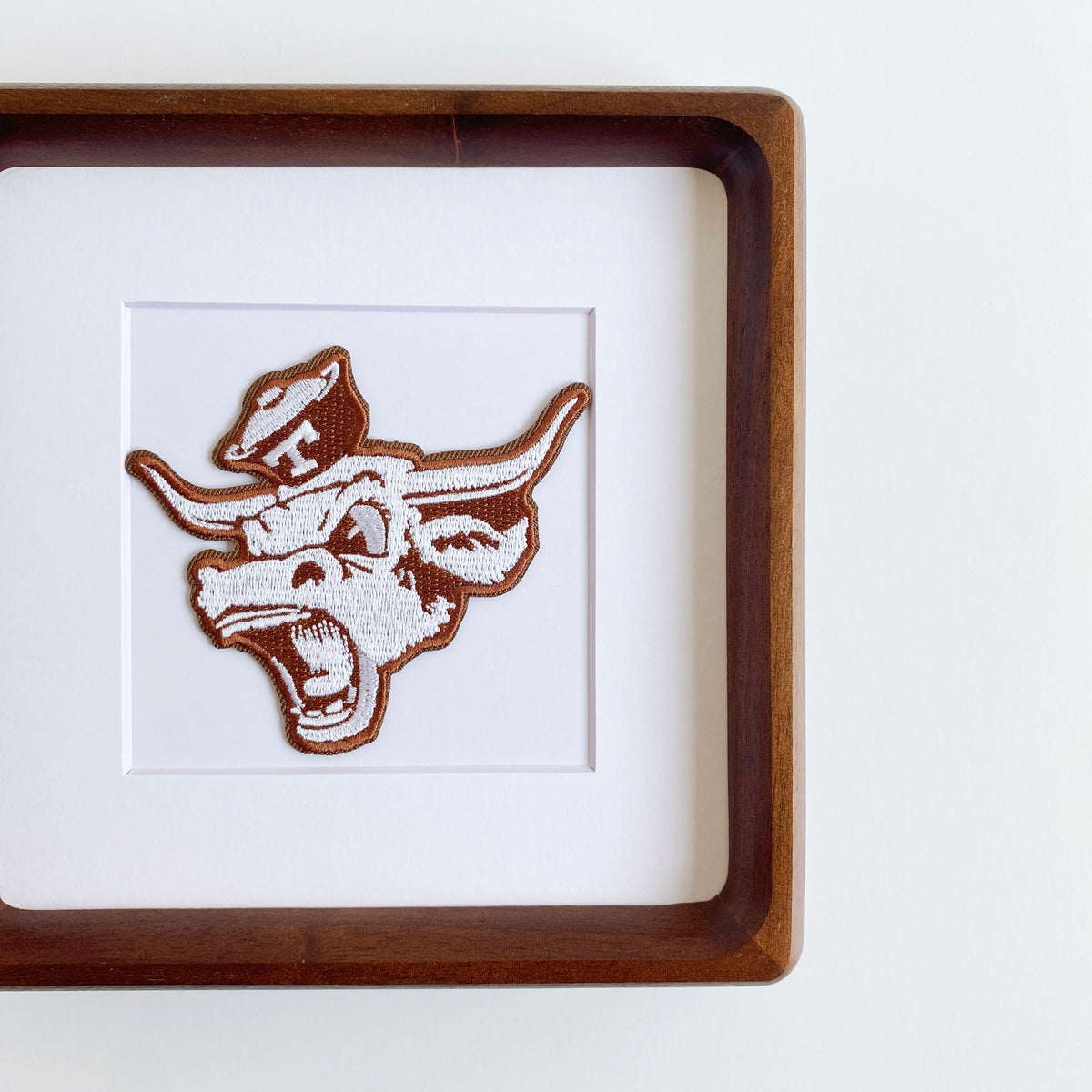 framed university of texas longhorns