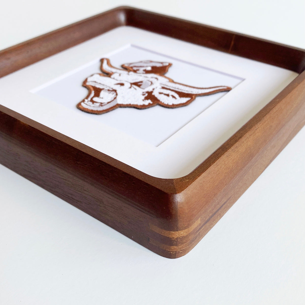 framed university of texas longhorns