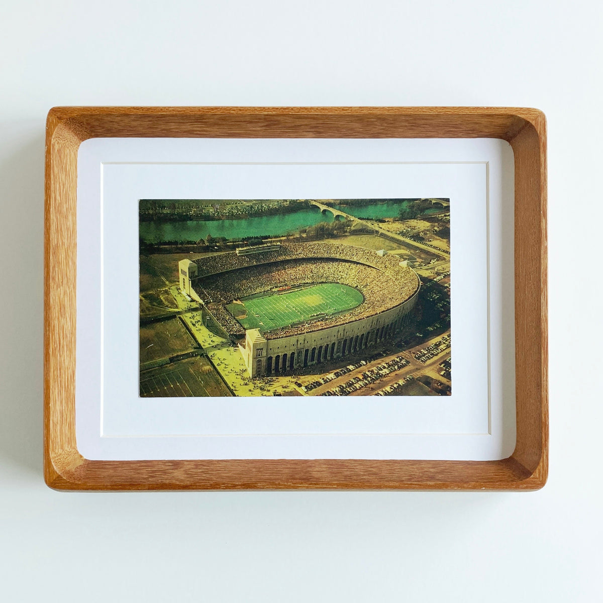 framed ohio state horseshoe #2 vintage postcard
