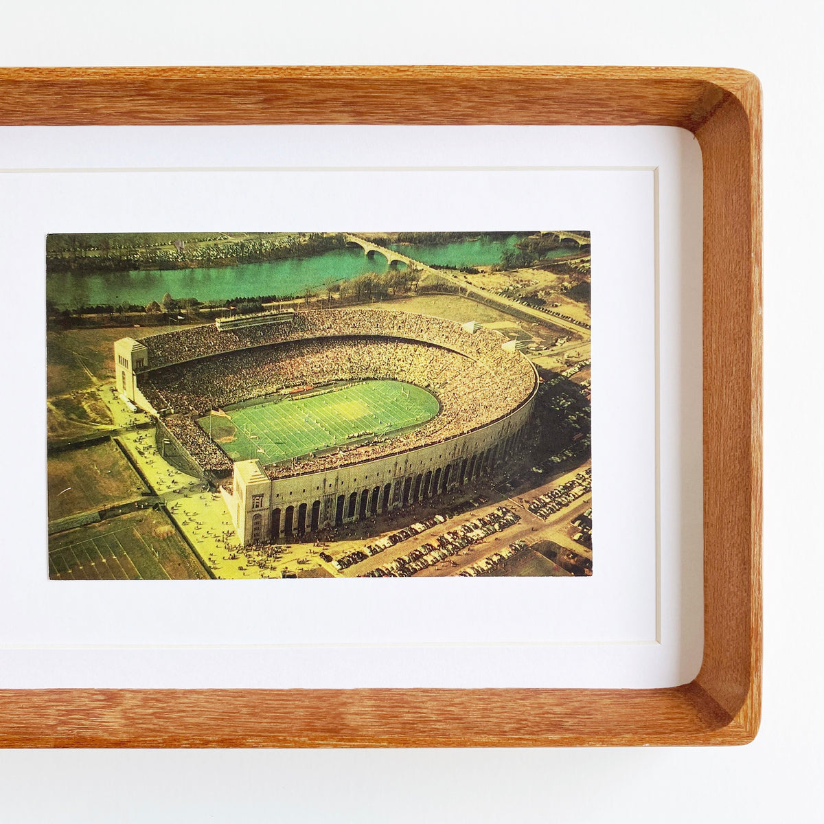 framed ohio state horseshoe #2 vintage postcard