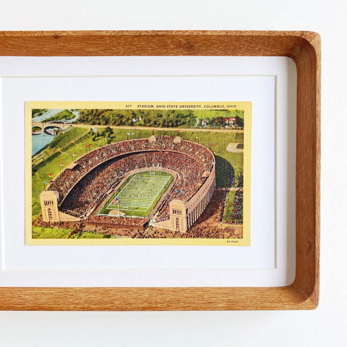 framed ohio state horseshoe #3 vintage postcard