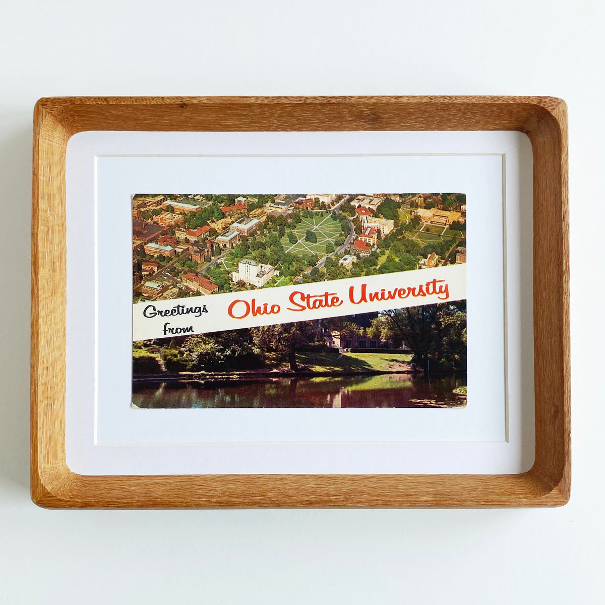 framed greetings from ohio state university vintage postcard