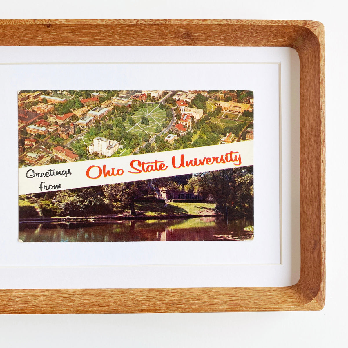 framed greetings from ohio state university vintage postcard